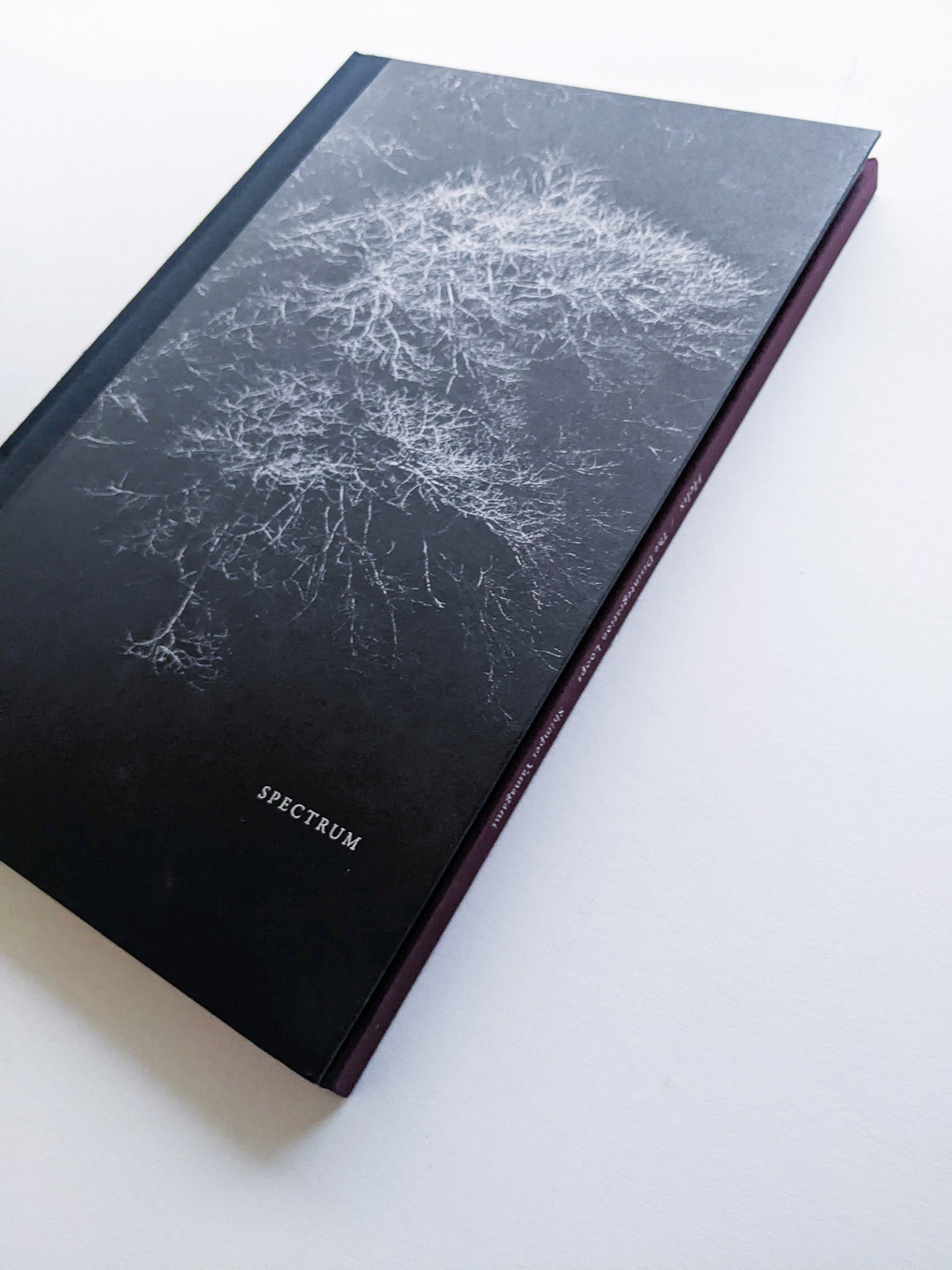 Helix / Shimpei Yamagami [SIGNED] - 本屋青旗 Ao-Hata Bookstore