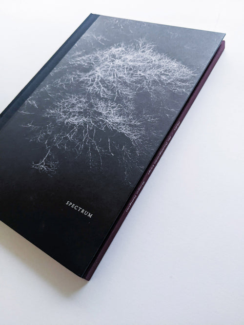 Helix / Shimpei Yamagami [SIGNED]