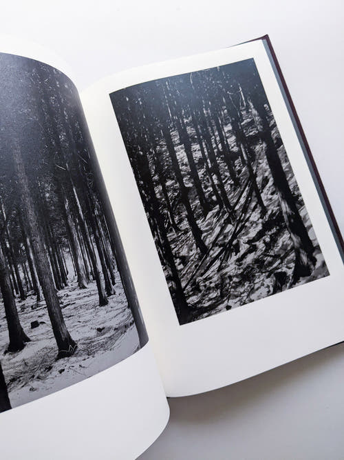 Helix / Shimpei Yamagami [SIGNED]