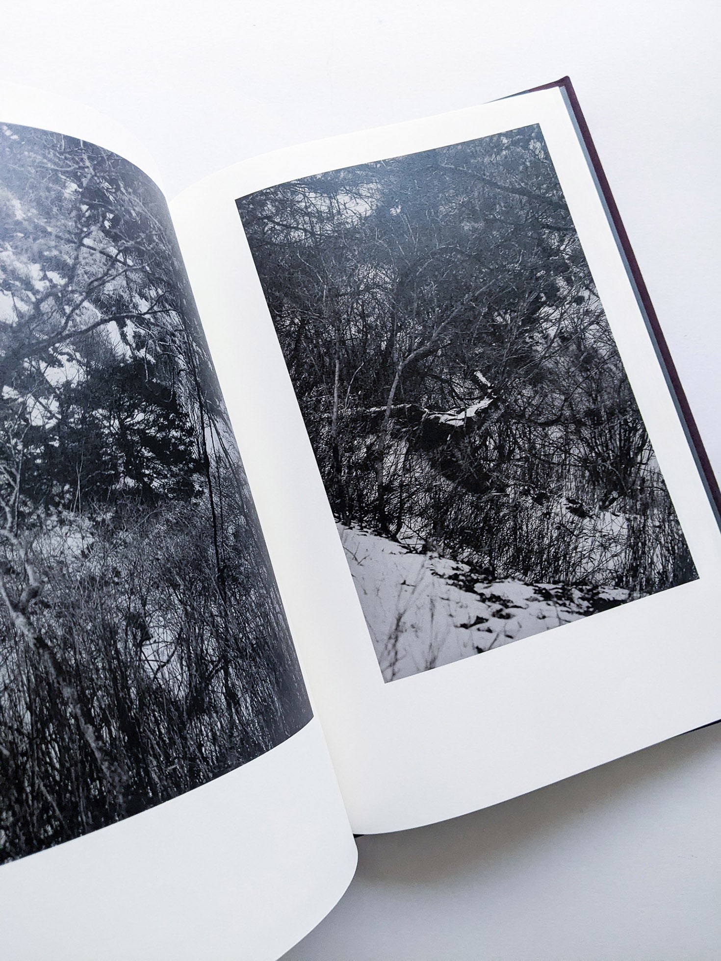 Helix / Shimpei Yamagami [SIGNED] - 本屋青旗 Ao-Hata Bookstore