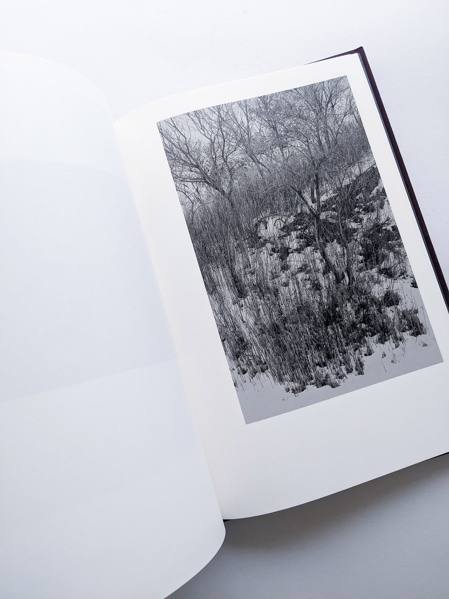 Helix / Shimpei Yamagami [SIGNED] - 本屋青旗 Ao-Hata Bookstore