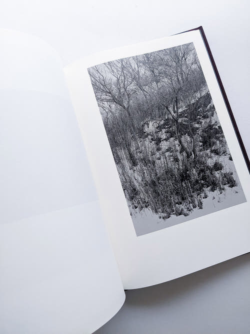 Helix / Shimpei Yamagami [SIGNED]