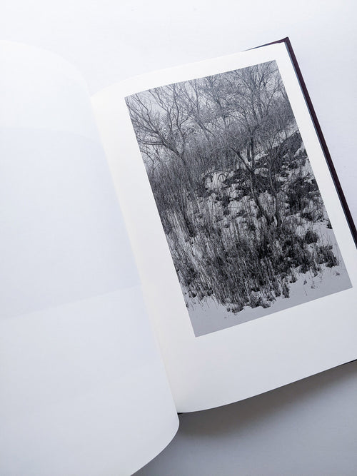 Helix / Shimpei Yamagami [SIGNED]