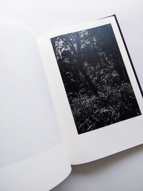 Helix / Shimpei Yamagami [SIGNED]