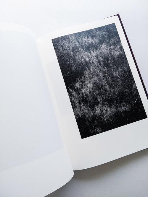 Helix / Shimpei Yamagami [SIGNED]