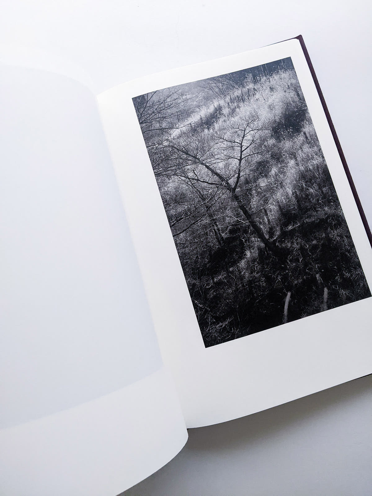 Helix / Shimpei Yamagami [SIGNED]