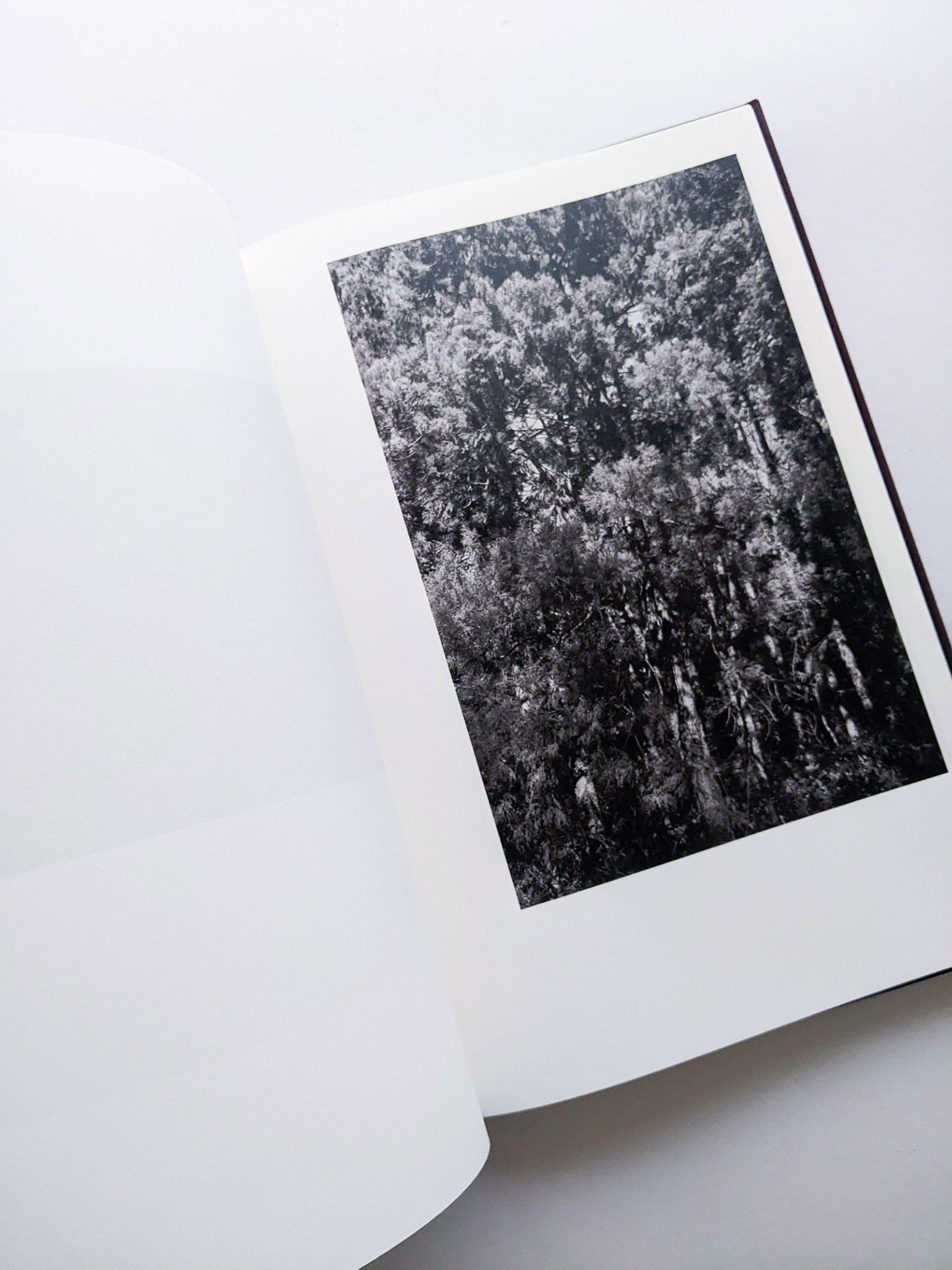 Helix / Shimpei Yamagami [SIGNED] - 本屋青旗 Ao-Hata Bookstore