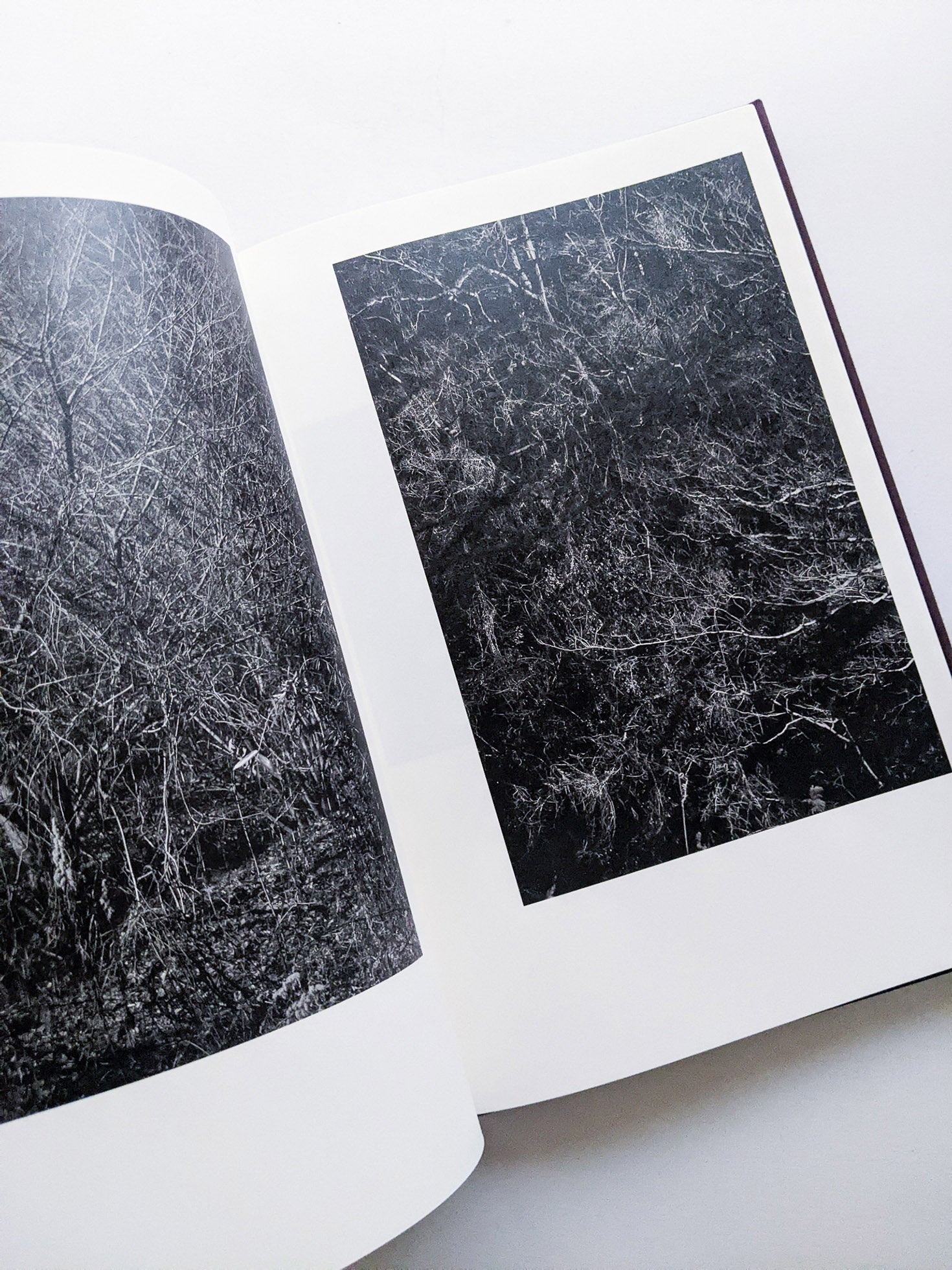 Helix / Shimpei Yamagami [SIGNED]