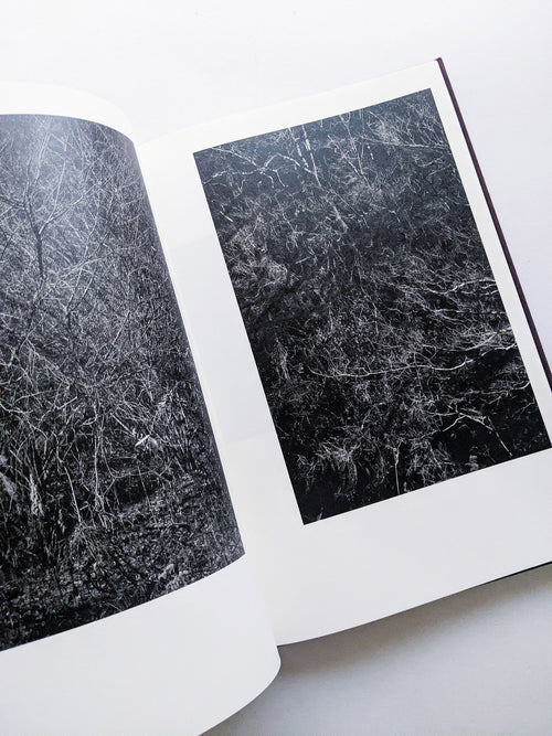 Helix / Shimpei Yamagami [SIGNED]