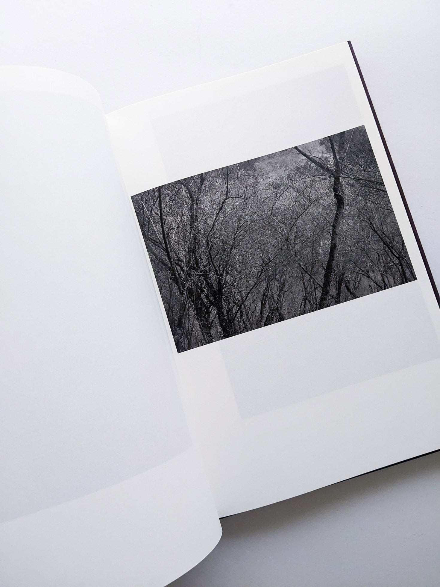 Helix / Shimpei Yamagami [SIGNED] - 本屋青旗 Ao-Hata Bookstore