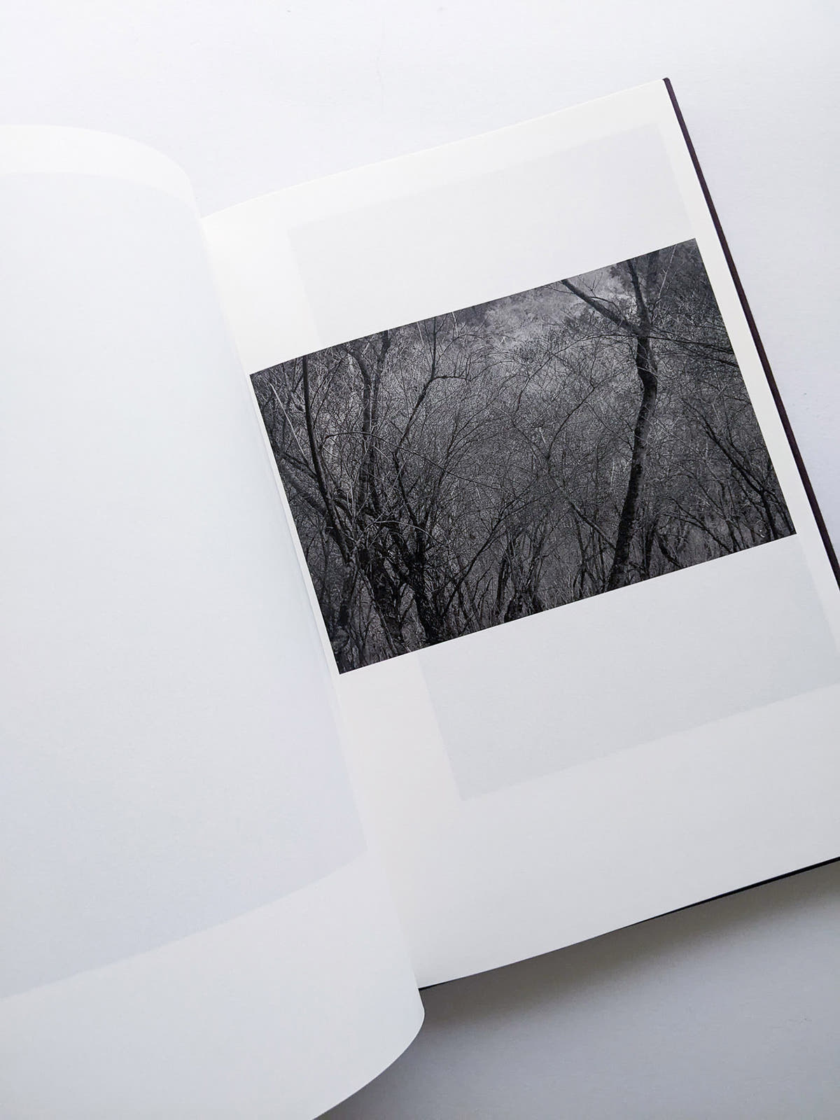 Helix / Shimpei Yamagami [SIGNED]