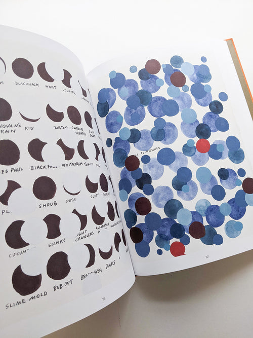 REMEMBERED WORDS / Roni Horn