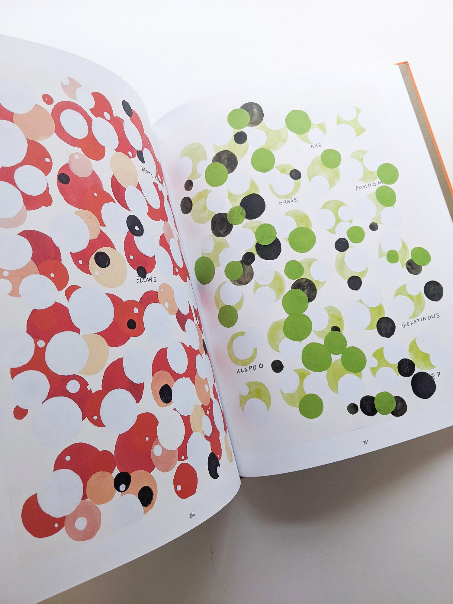 REMEMBERED WORDS / Roni Horn