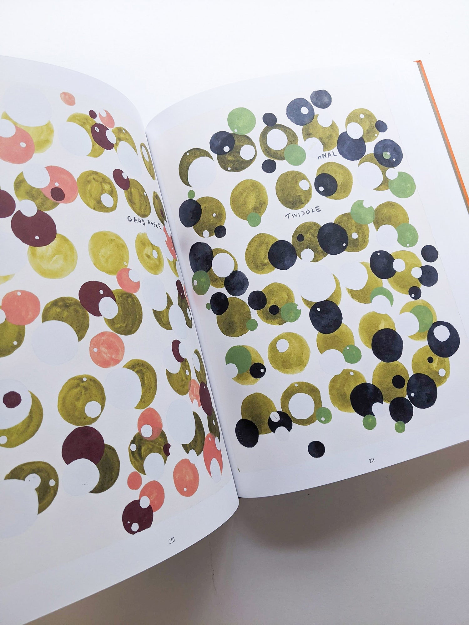 REMEMBERED WORDS / Roni Horn