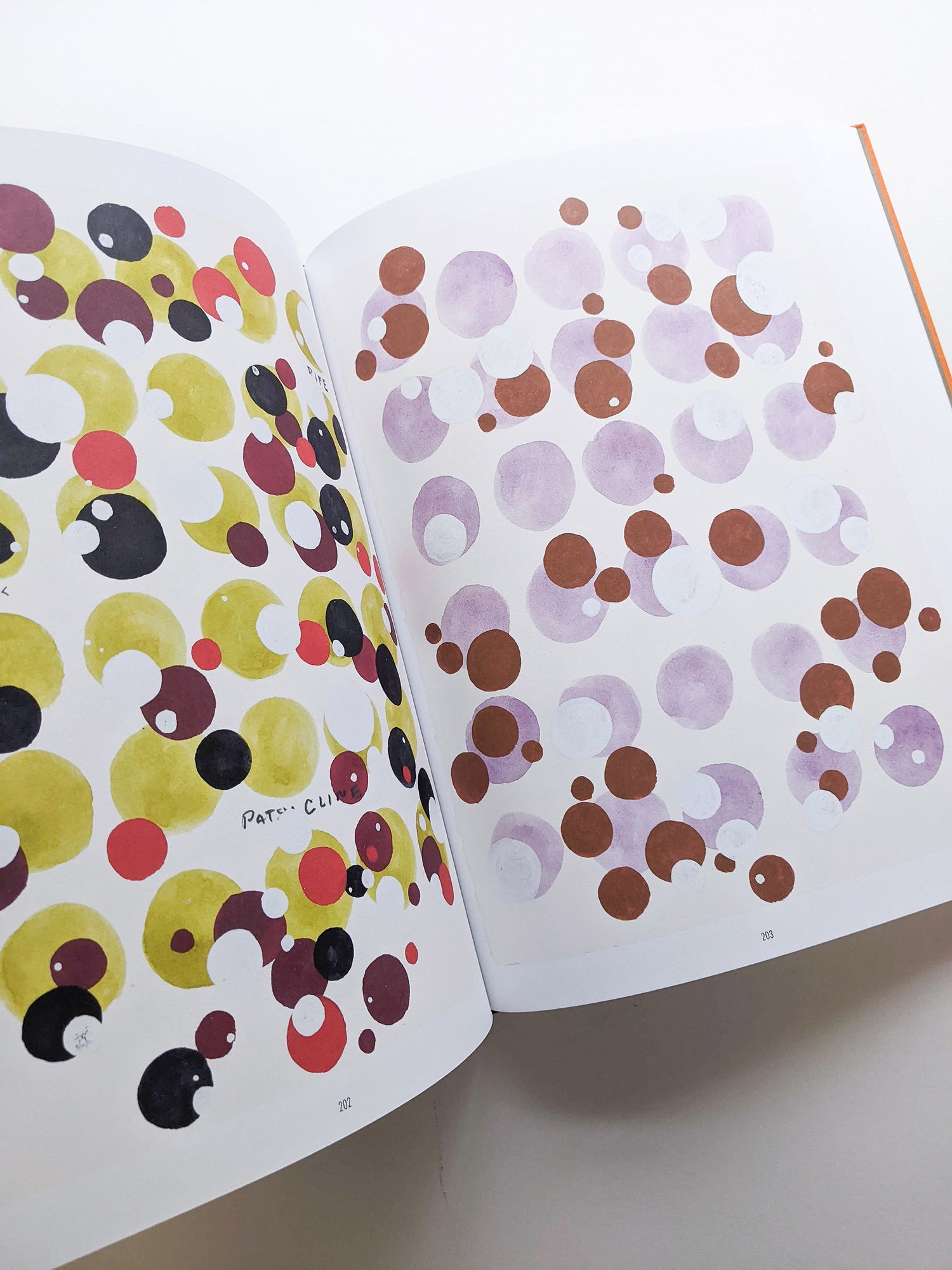 REMEMBERED WORDS / Roni Horn