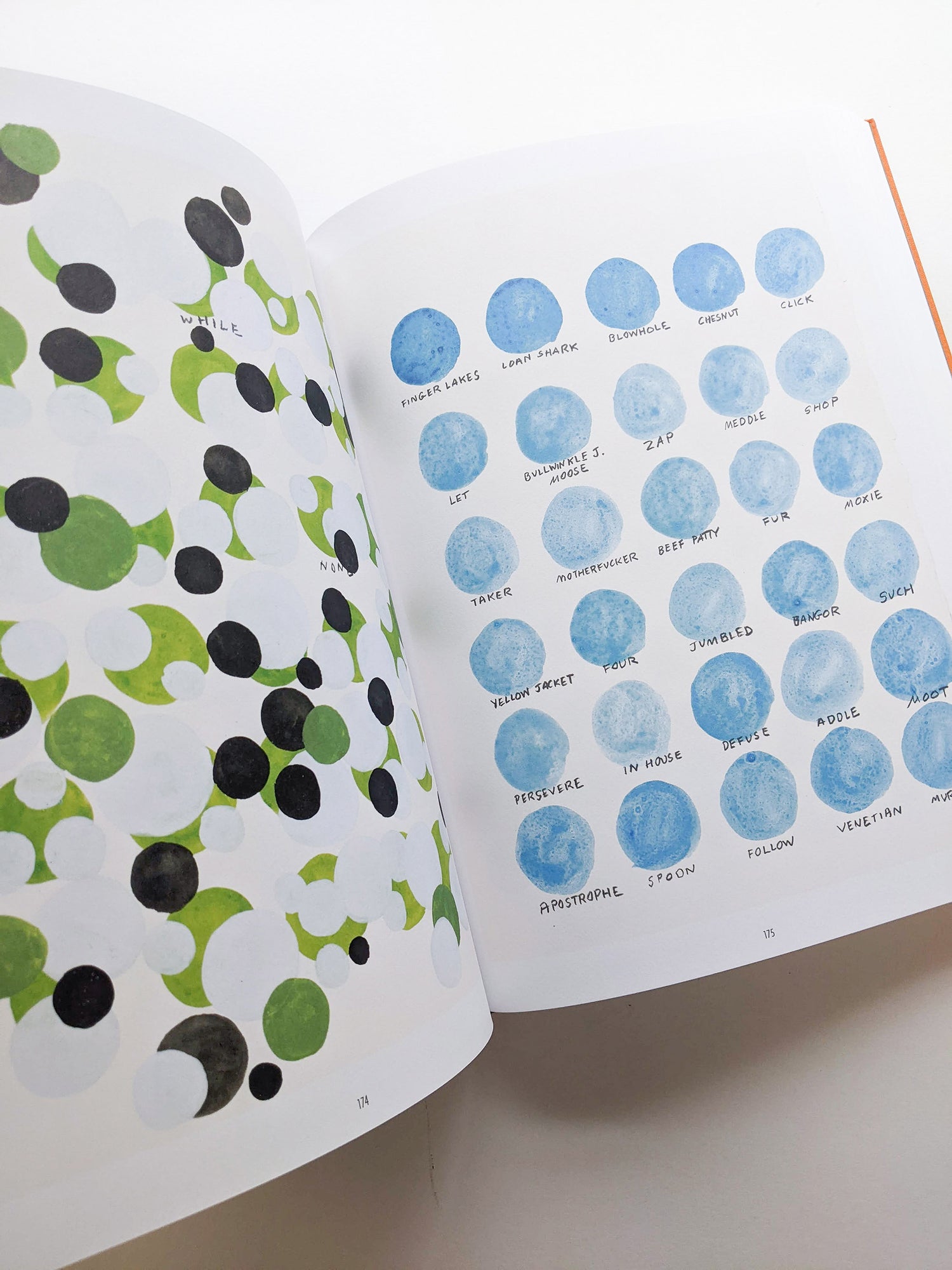 REMEMBERED WORDS / Roni Horn