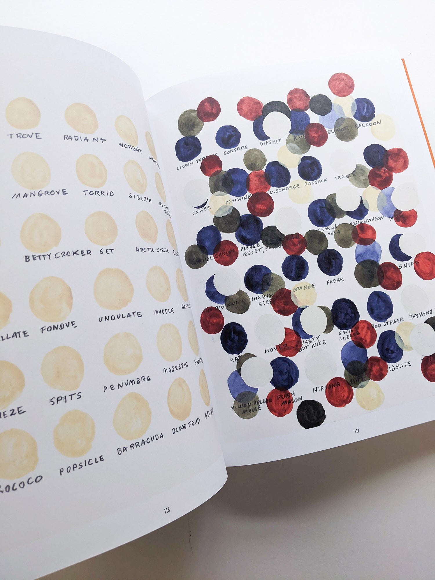 REMEMBERED WORDS / Roni Horn