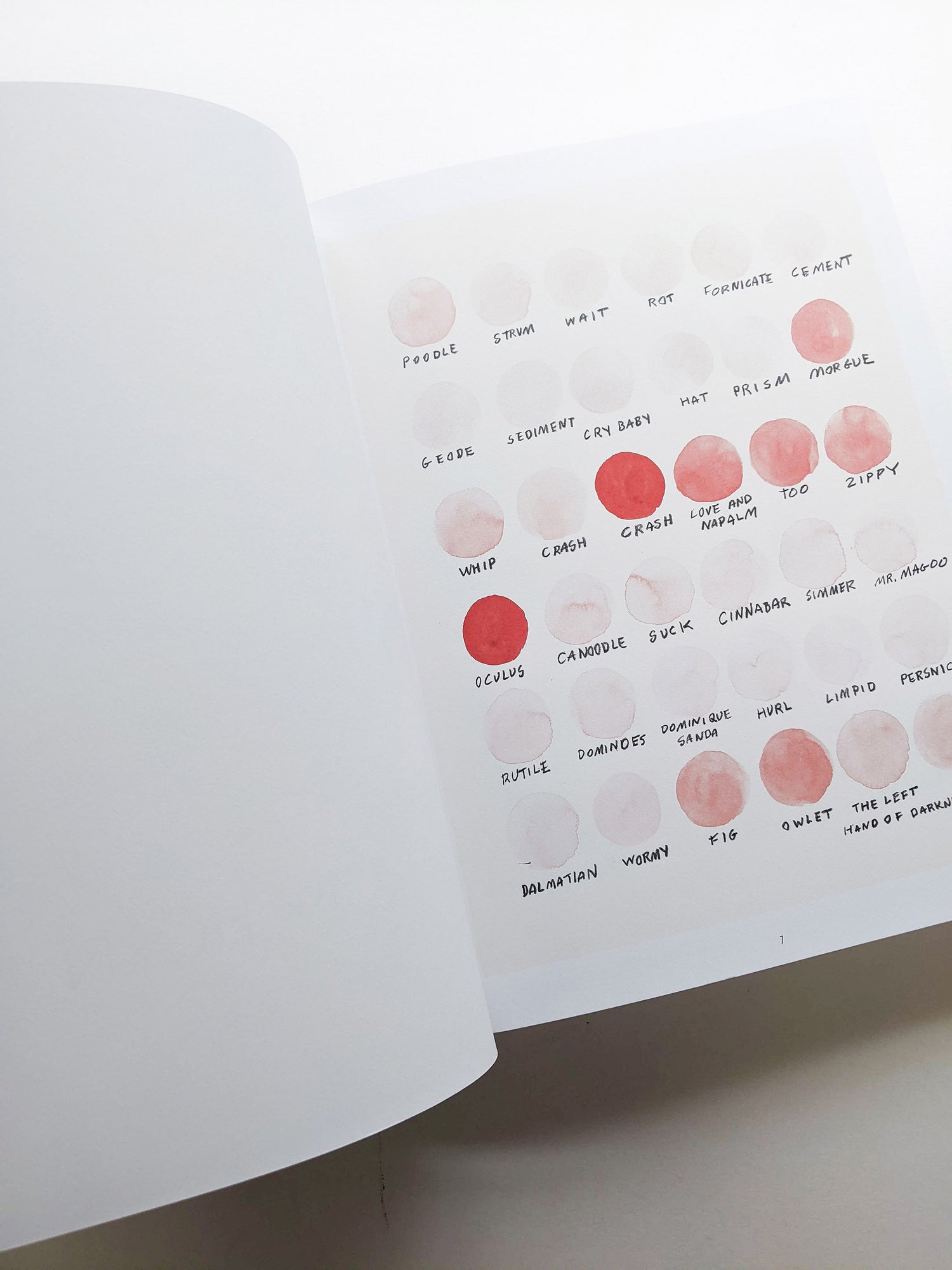 REMEMBERED WORDS / Roni Horn