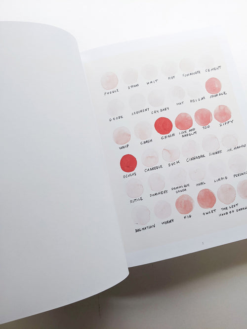 REMEMBERED WORDS / Roni Horn