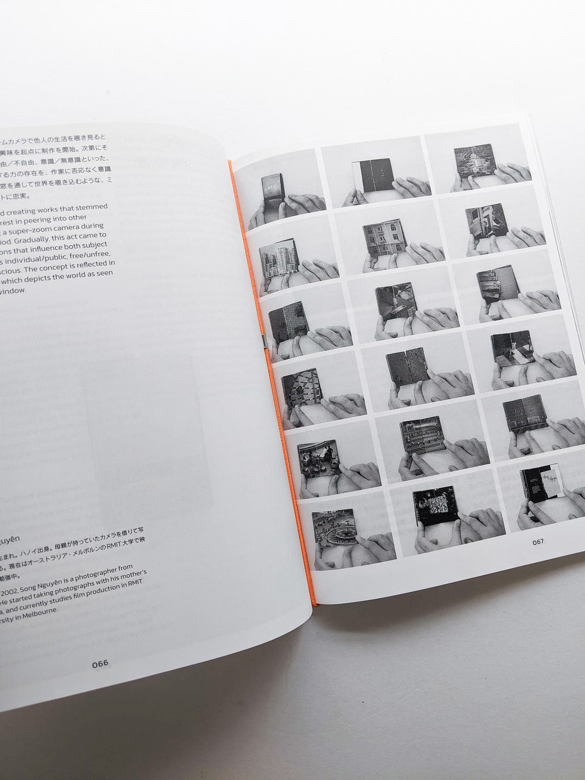 Imaging Rhizome｜Hình dung gốc rễ