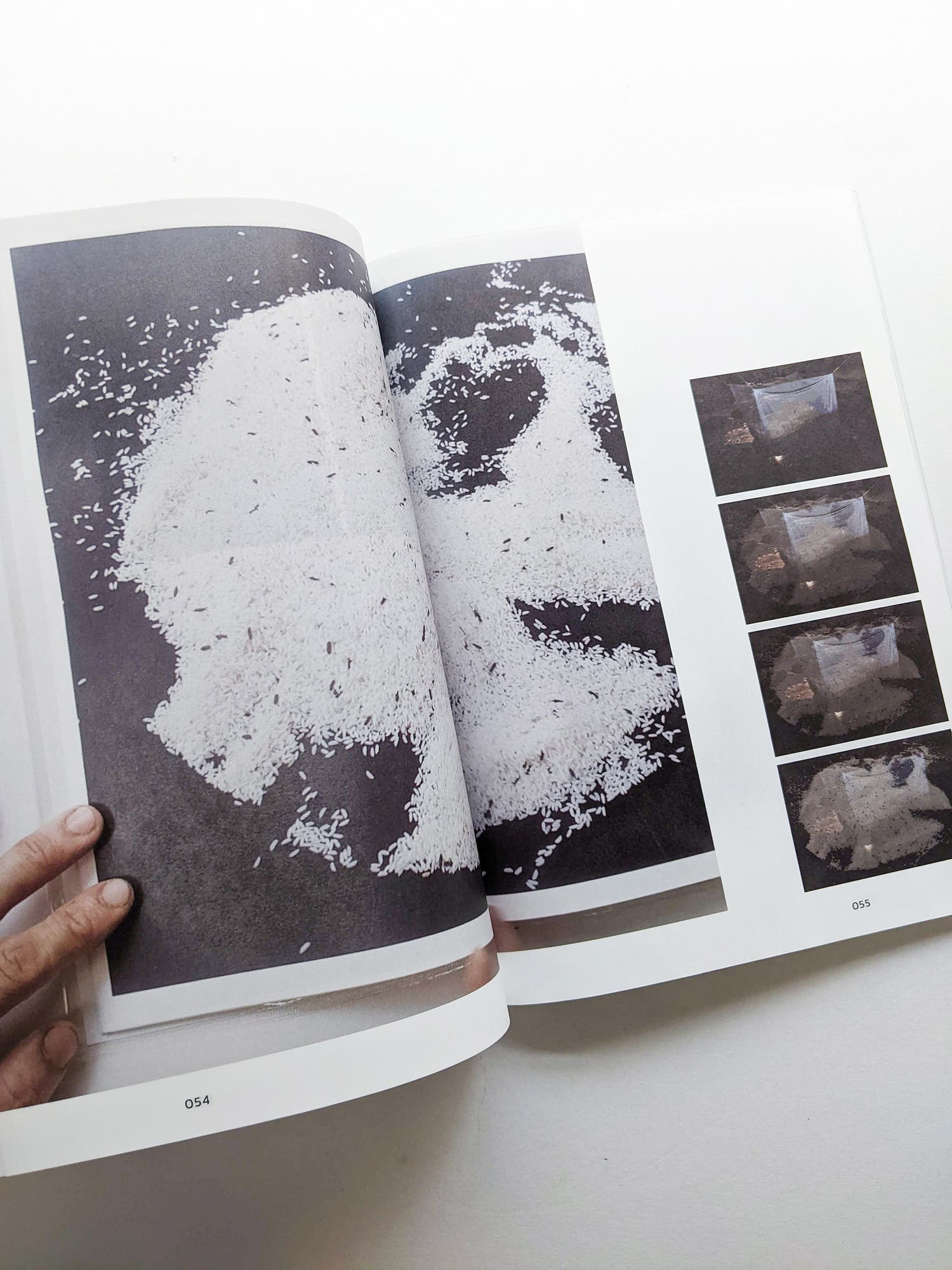 Imaging Rhizome｜Hình dung gốc rễ