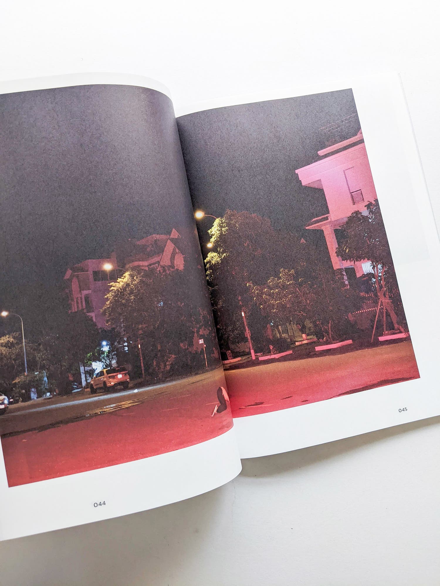 Imaging Rhizome｜Hình dung gốc rễ