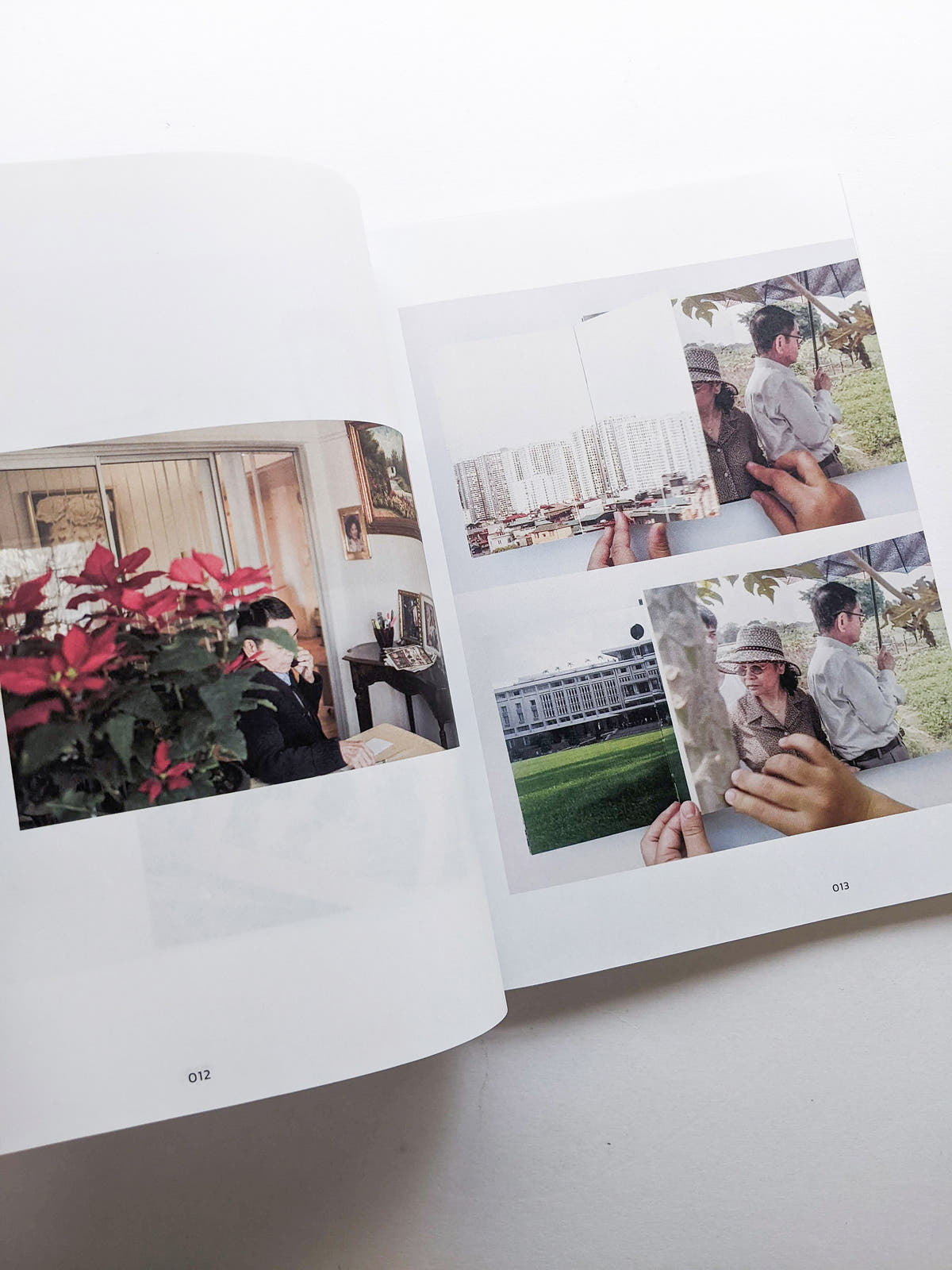 Imaging Rhizome｜Hình dung gốc rễ