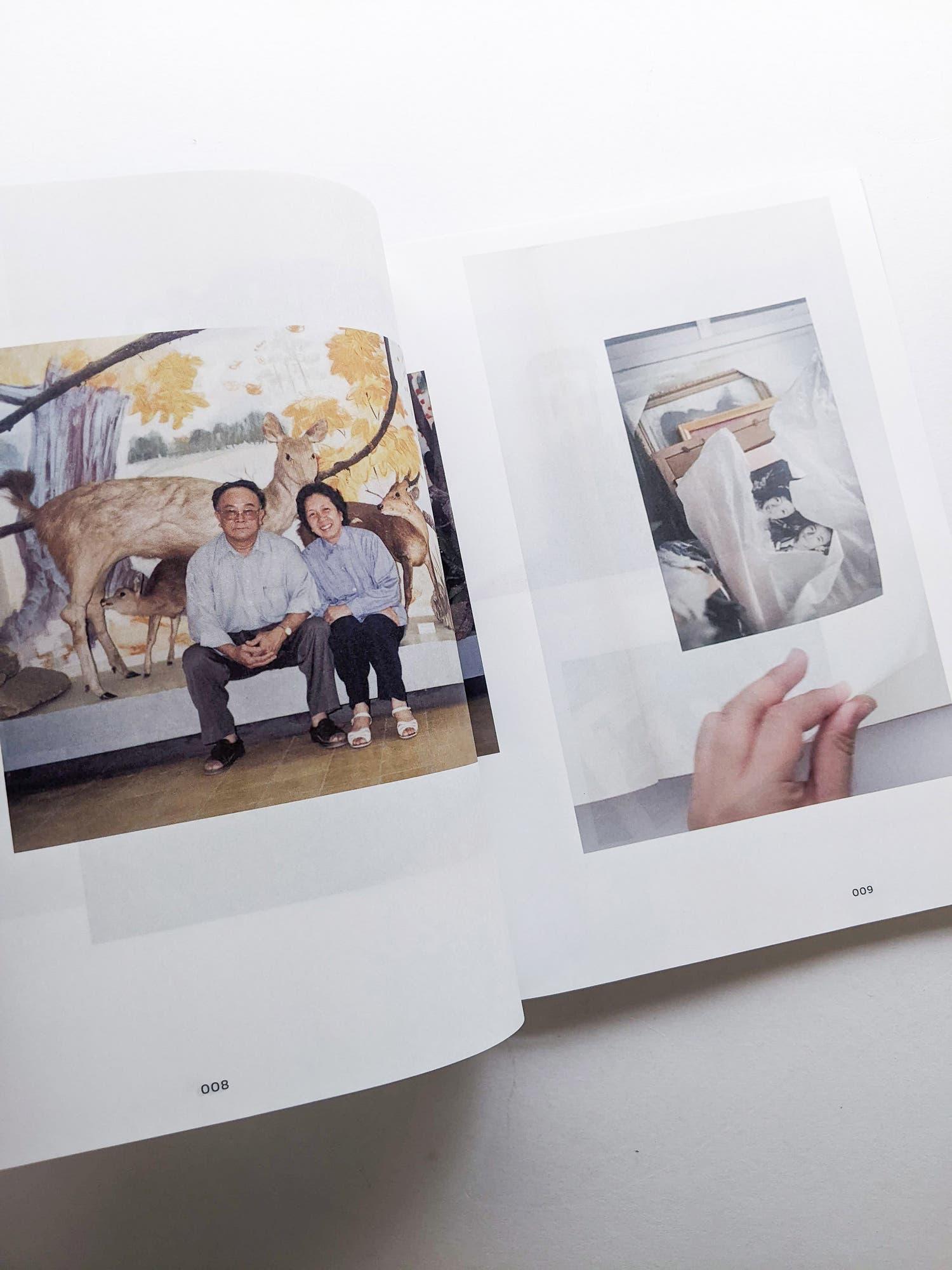 Imaging Rhizome｜Hình dung gốc rễ
