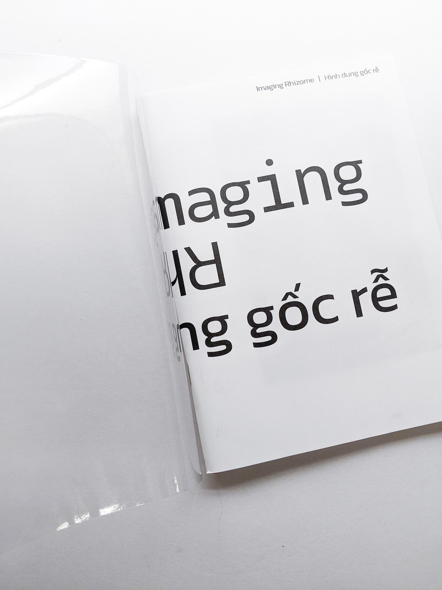 Imaging Rhizome｜Hình dung gốc rễ
