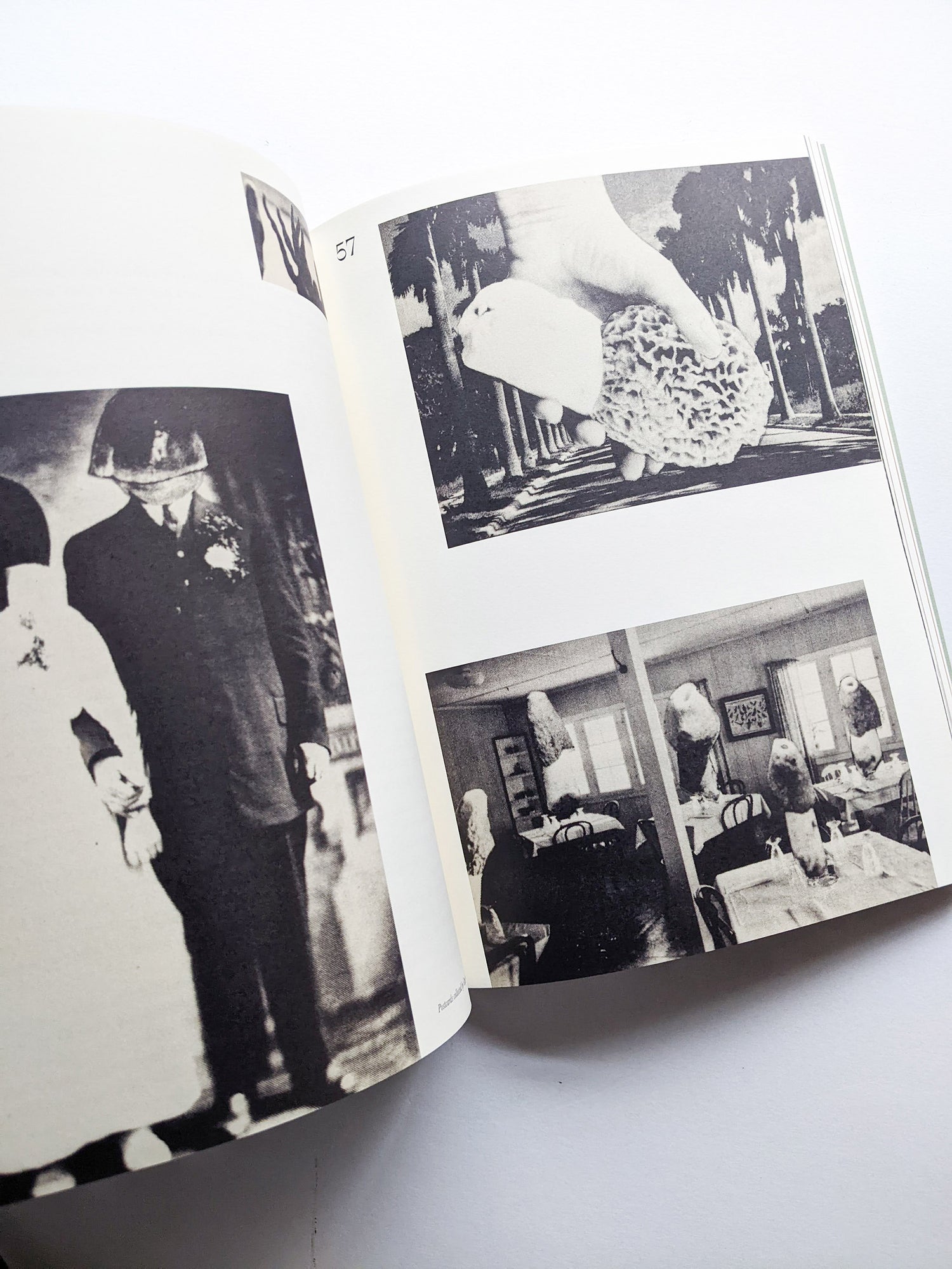 A MYCOLOGICAL FORAY / John Cage