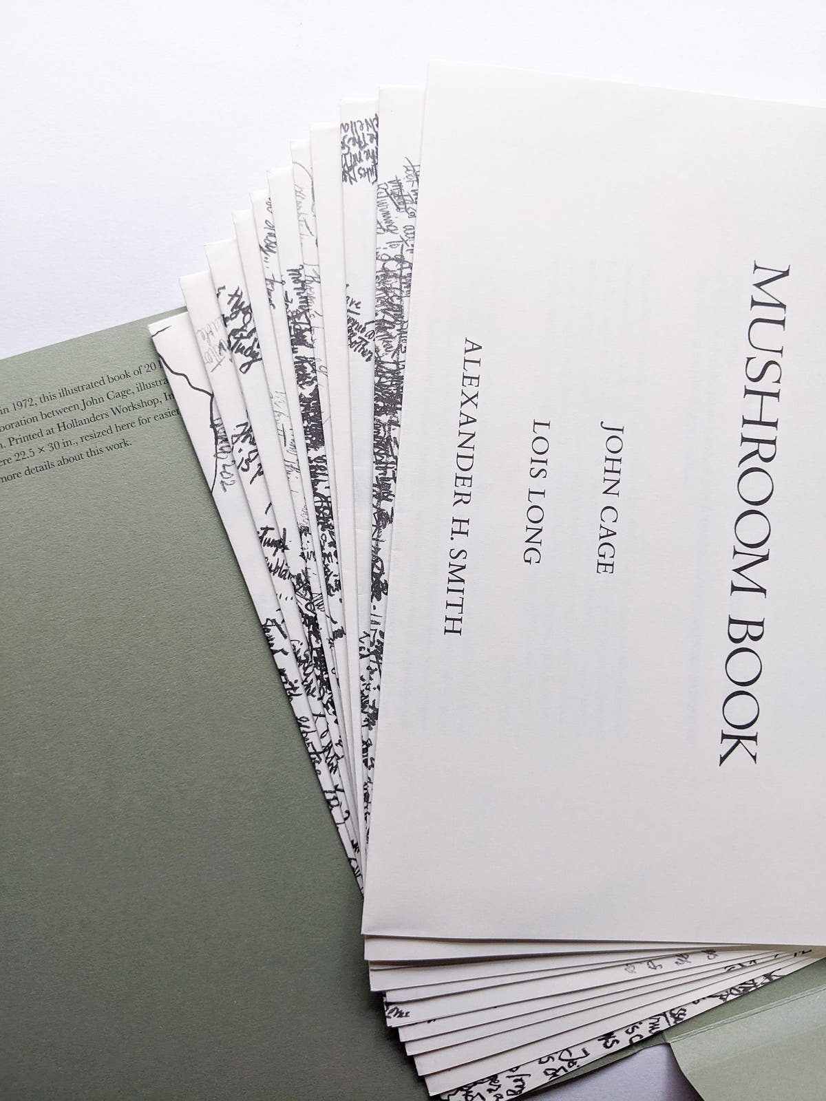 A MYCOLOGICAL FORAY / John Cage