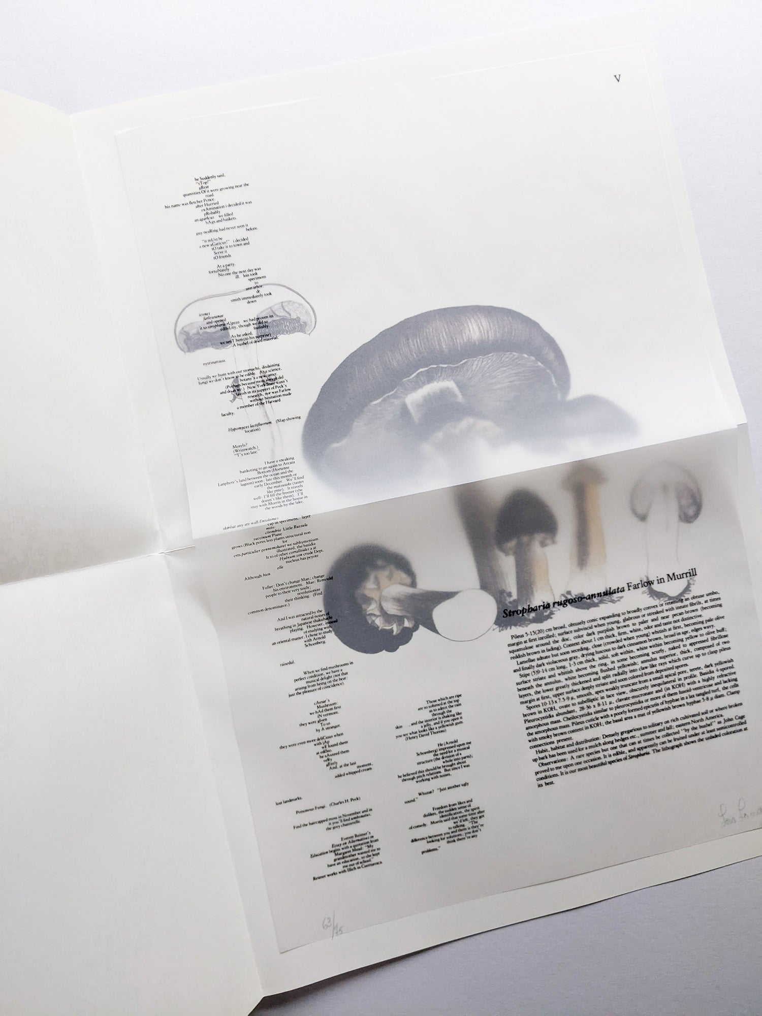 A MYCOLOGICAL FORAY / John Cage