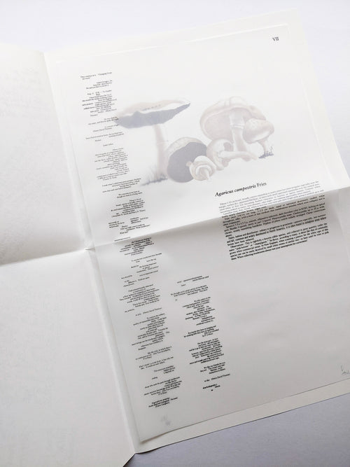 A MYCOLOGICAL FORAY / John Cage