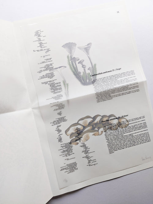 A MYCOLOGICAL FORAY / John Cage