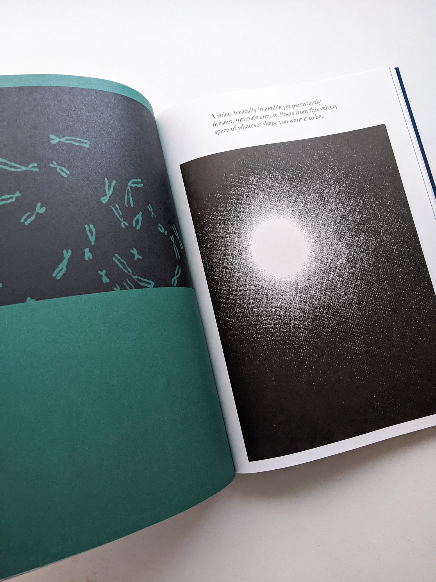 THE ARCHIVE OF DARK / Kirstine Roepstorff