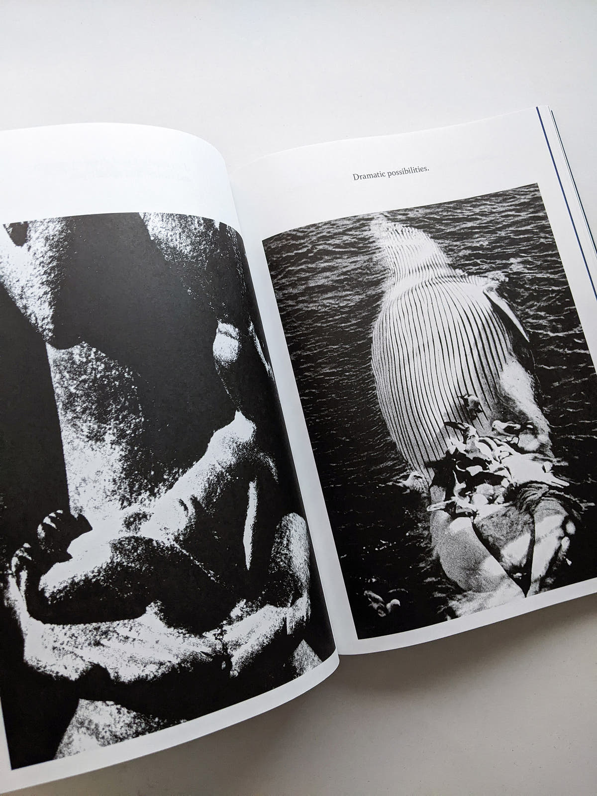 THE ARCHIVE OF DARK / Kirstine Roepstorff