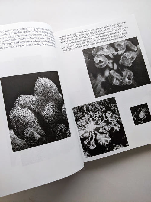 THE ARCHIVE OF DARK / Kirstine Roepstorff