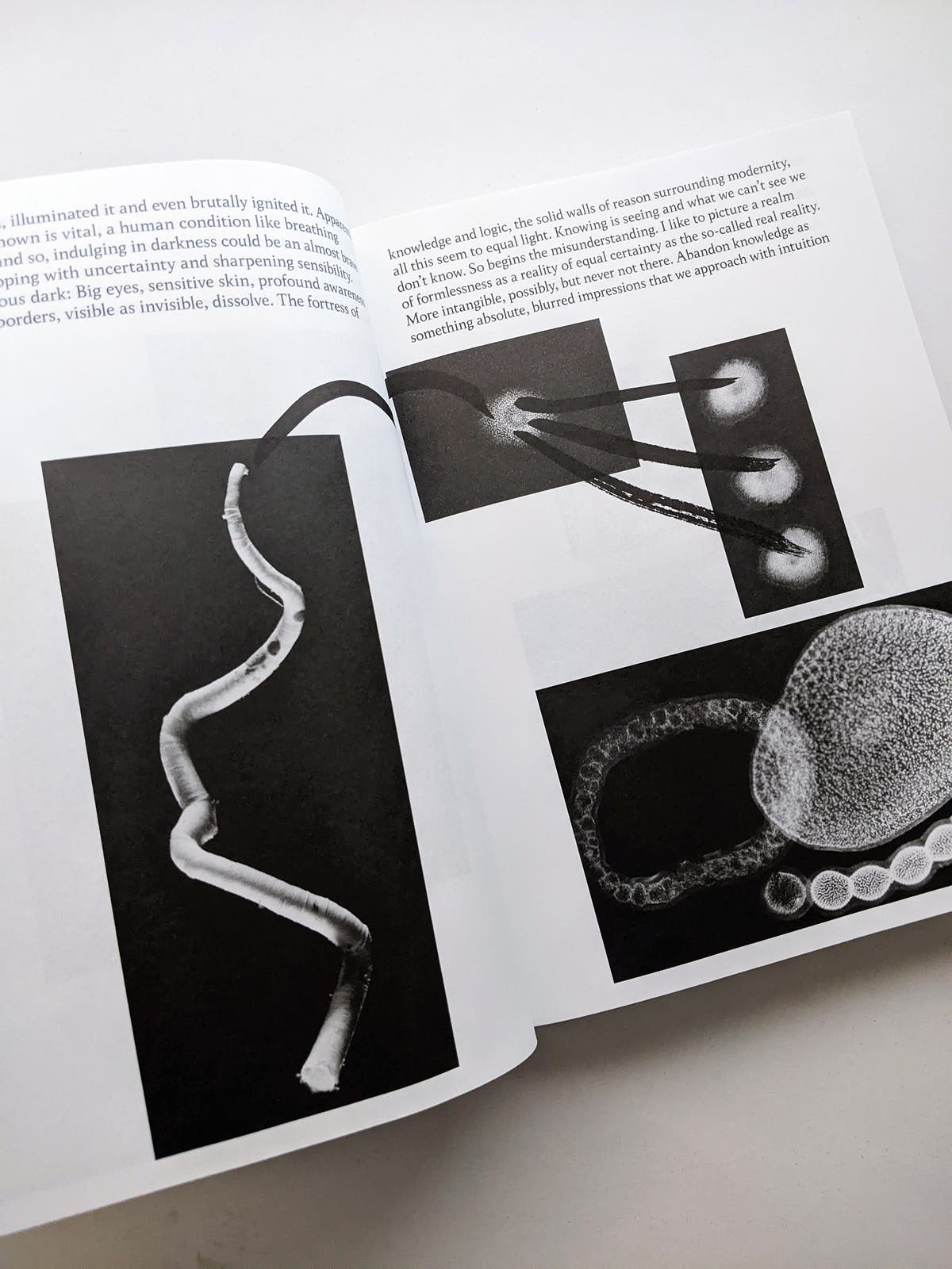 THE ARCHIVE OF DARK / Kirstine Roepstorff