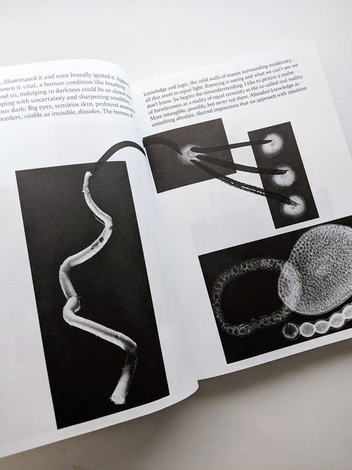 THE ARCHIVE OF DARK / Kirstine Roepstorff