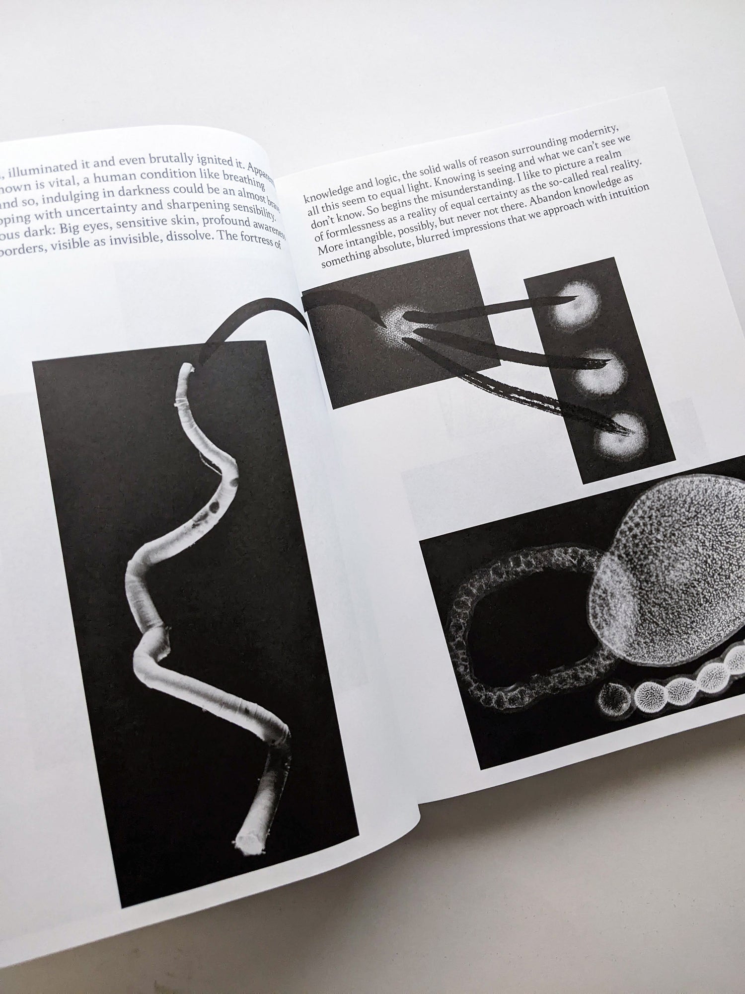 THE ARCHIVE OF DARK / Kirstine Roepstorff