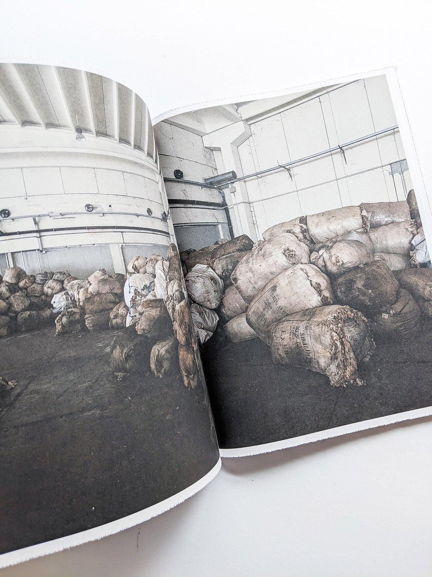 FORMAFANTASMA: OLTRE TERRA / Formafantasma