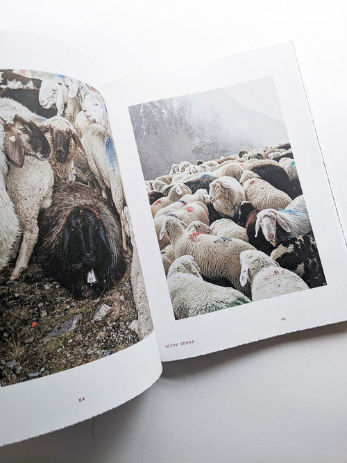 FORMAFANTASMA: OLTRE TERRA / Formafantasma