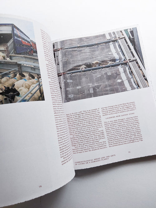 FORMAFANTASMA: OLTRE TERRA / Formafantasma