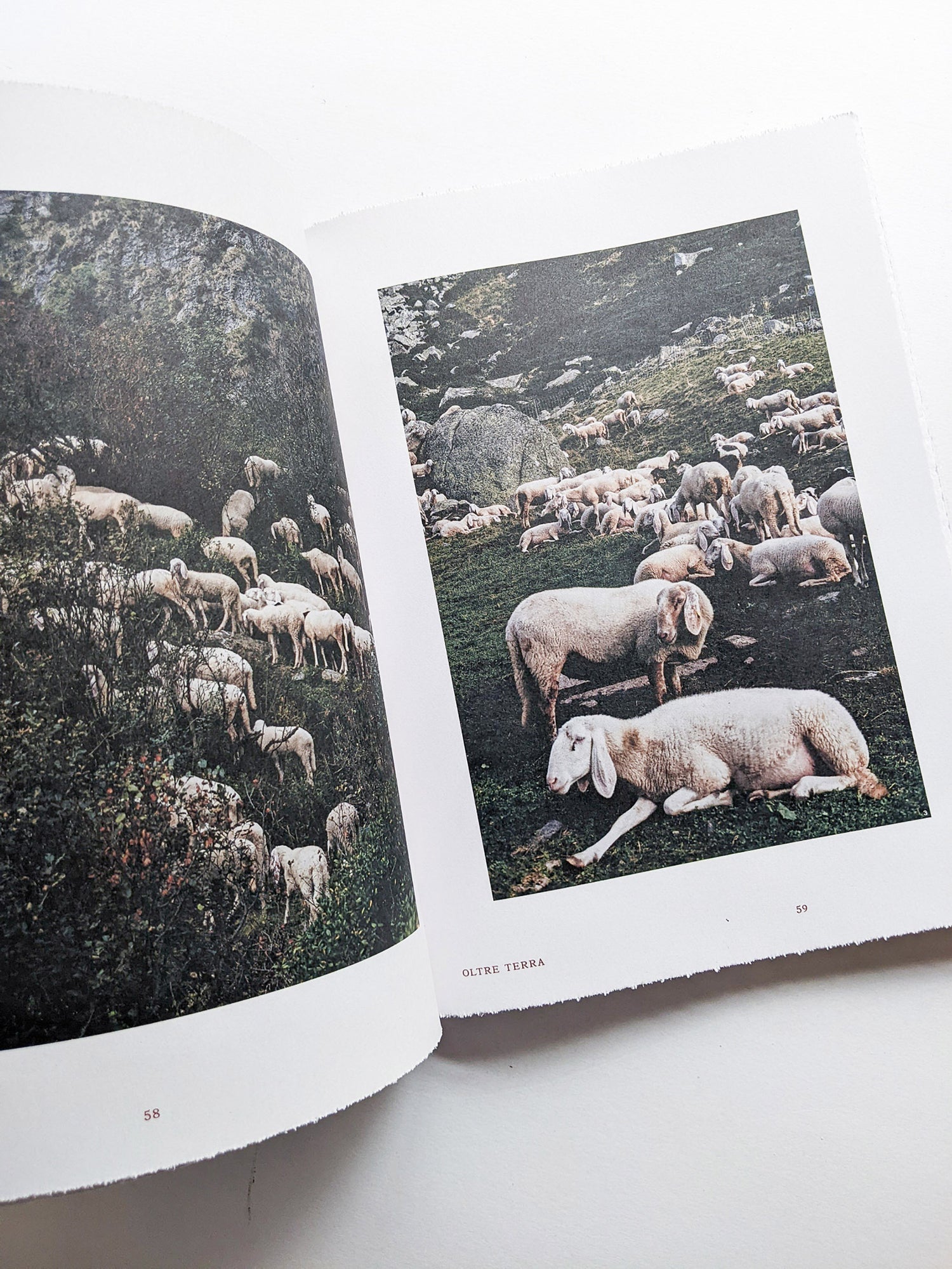 FORMAFANTASMA: OLTRE TERRA / Formafantasma