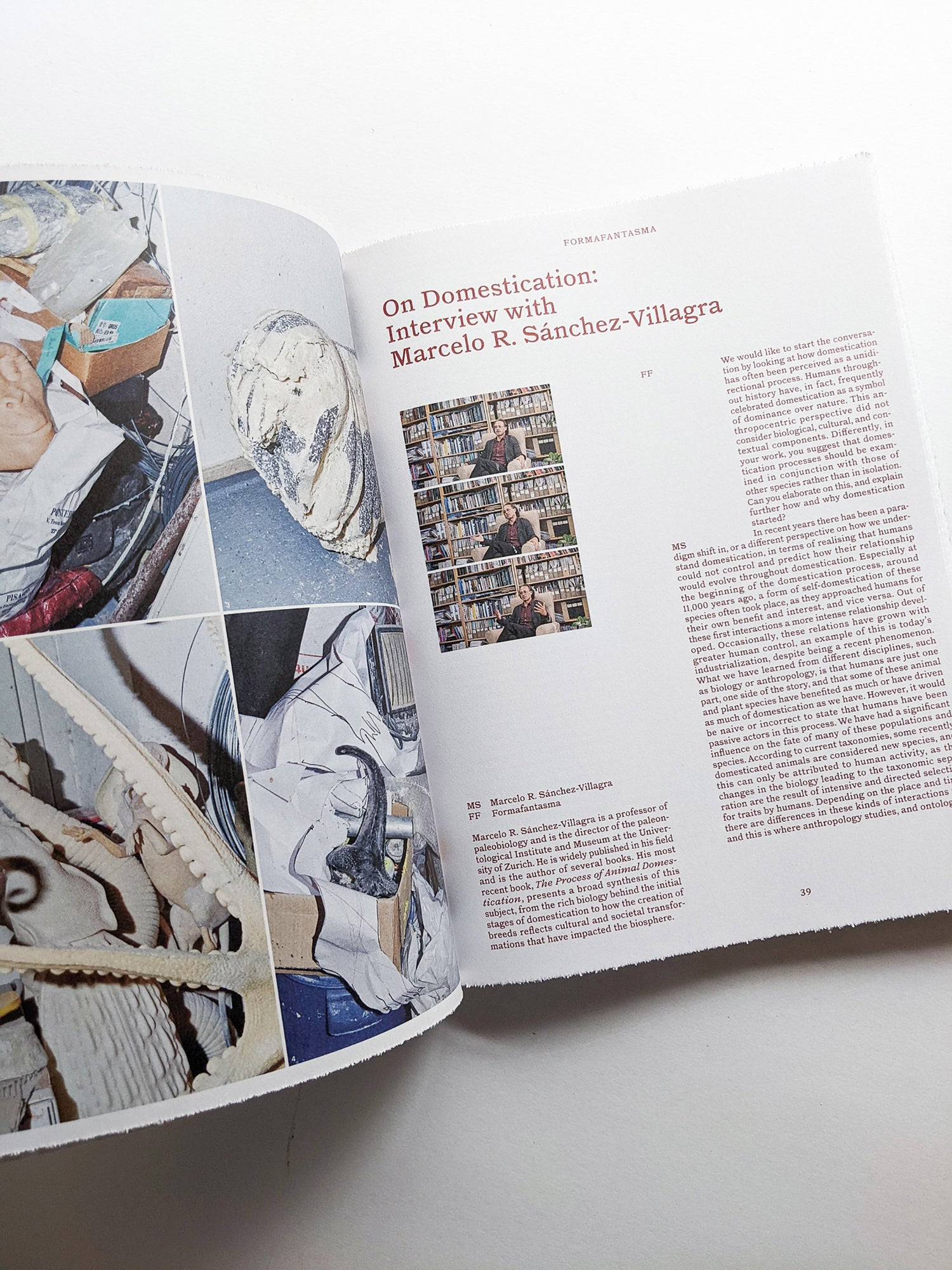 FORMAFANTASMA: OLTRE TERRA / Formafantasma