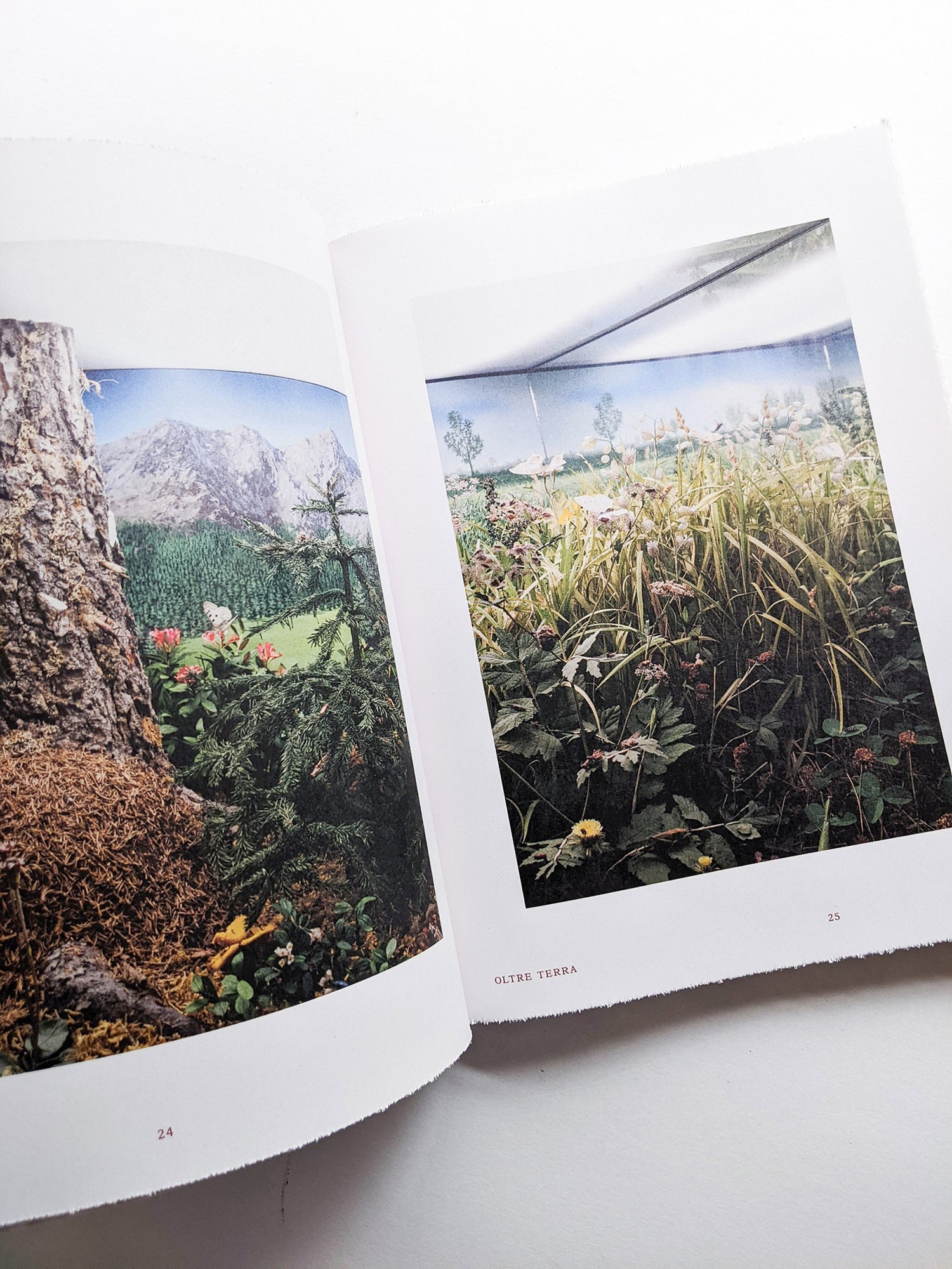 FORMAFANTASMA: OLTRE TERRA / Formafantasma