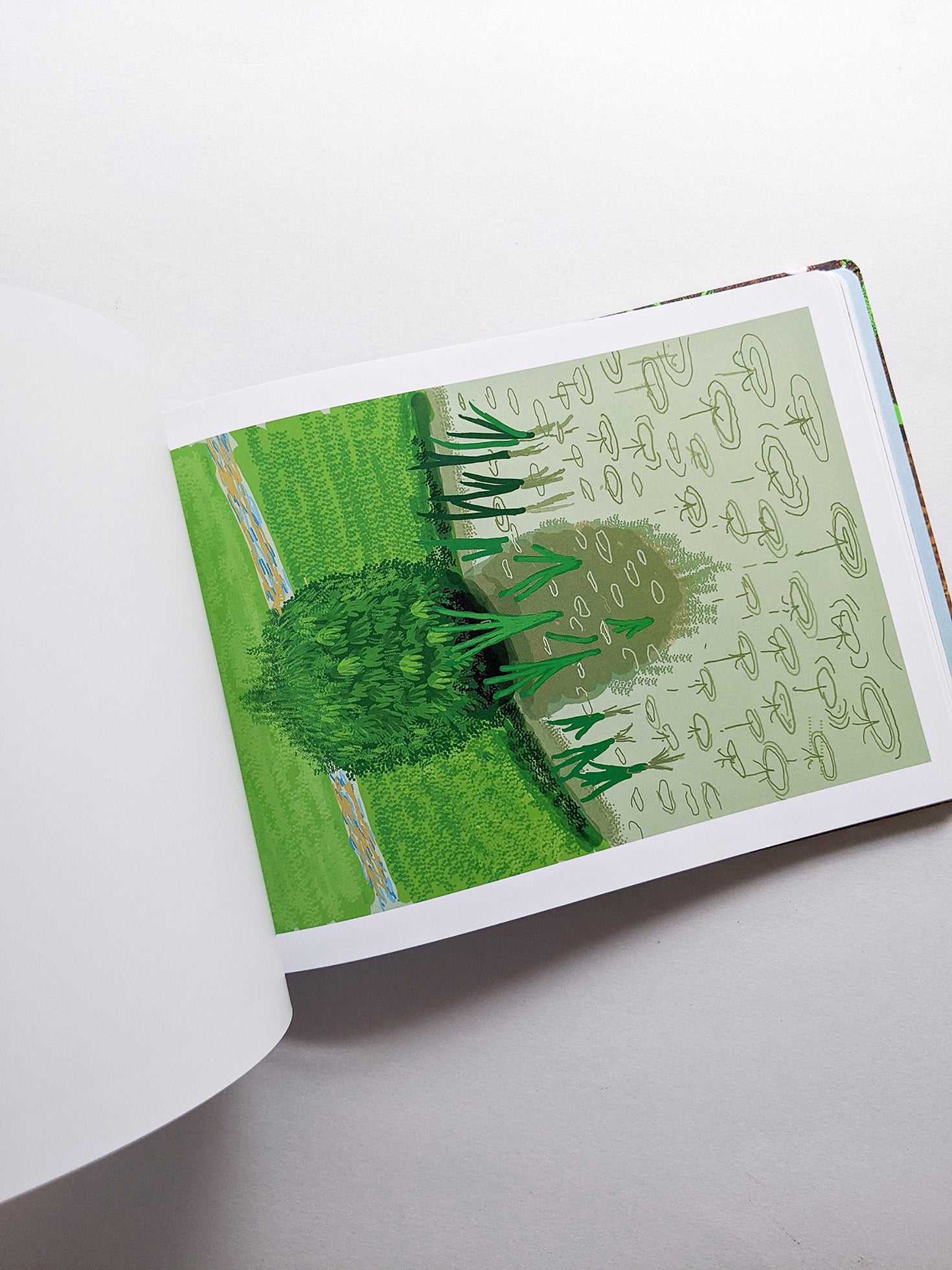 THE ARRIVAL OF SPRING, NORMANDY 2020 / David Hockney