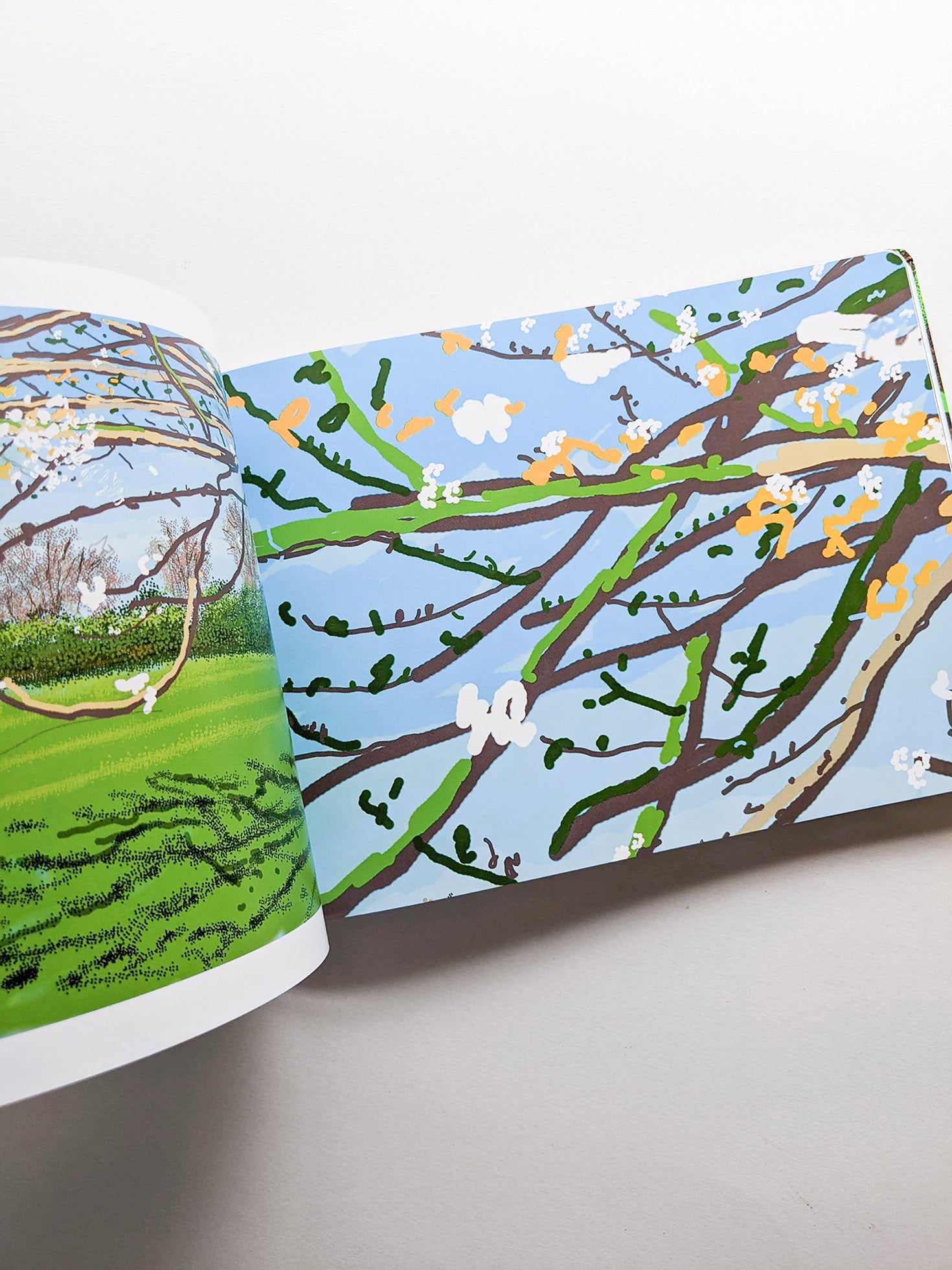 THE ARRIVAL OF SPRING, NORMANDY 2020 / David Hockney