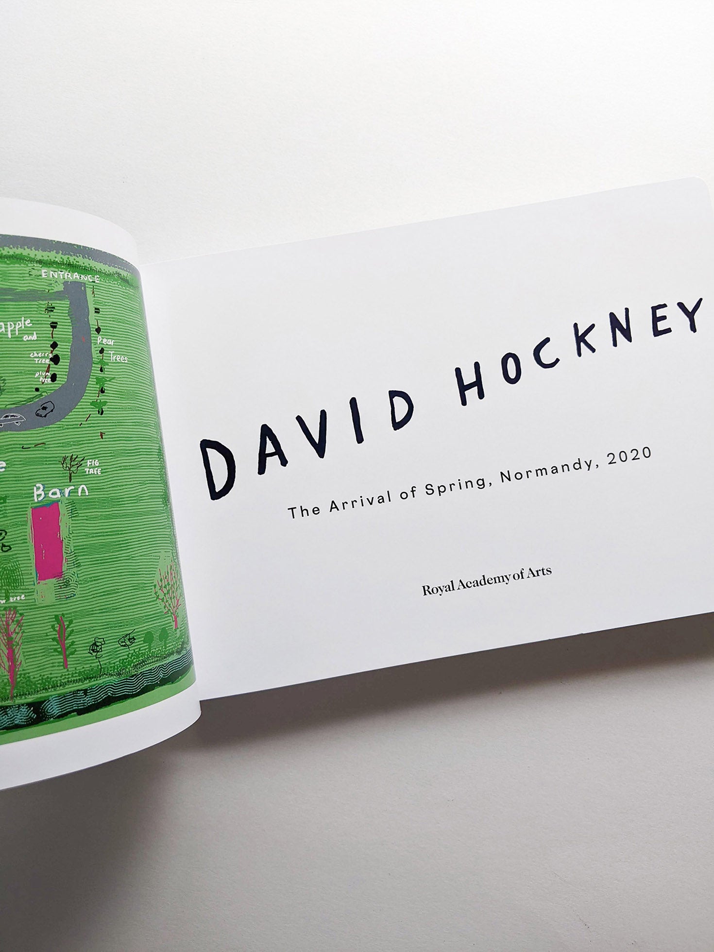 THE ARRIVAL OF SPRING, NORMANDY 2020 / David Hockney