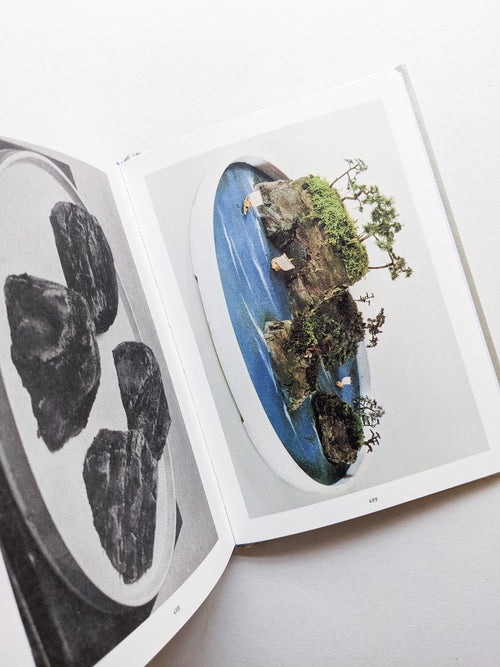 The Oldest Thing / Ruth van Beek